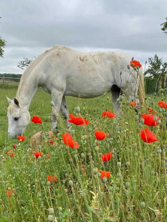 Domaine Nature Vacances Bernecourt Bagian luar foto